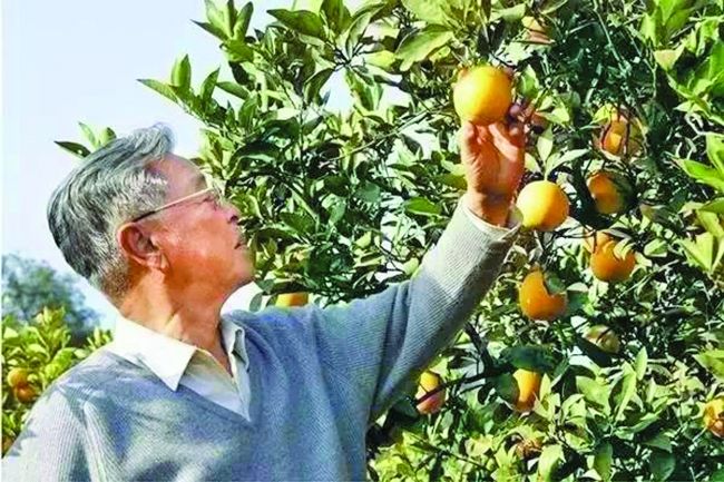 褚時(shí)健